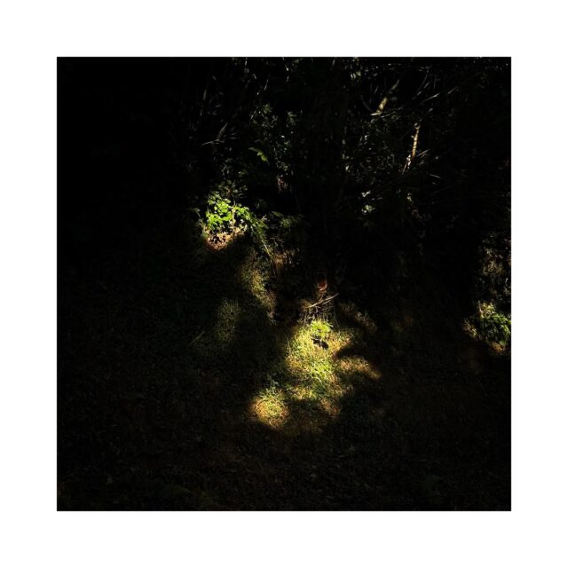 #microcosm #quartier
.
.
.
.
.
#art #photography #photo #artphoto #artphotography #abstract #minimalism #streetphotography #iphoneography #iphone16pro #iphone #quimper #somewheremagazine #gominimalmag #gominimalmagazine #nowness @somewheremagazine @gominimalmagazine @nowness @letelegramme @cote.quimper @ouestfrance @ouestfrance.bretagne @ouestfrancequimper